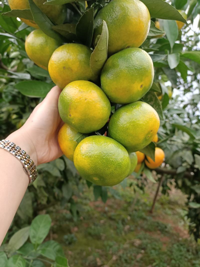 诚信接待每一位客户，是我的职责所在，品质有保障，货源充足