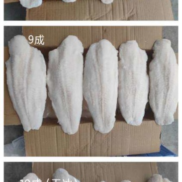 巴沙鱼柳9成的135