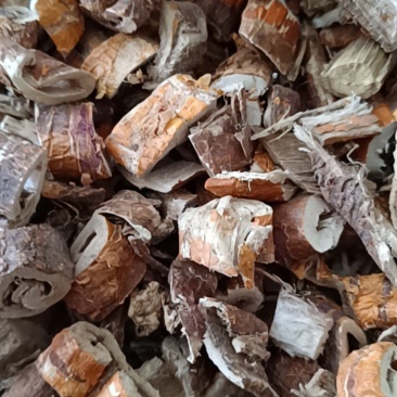 桑白皮桑皮康辰药业中药材批发量大从优各种药材