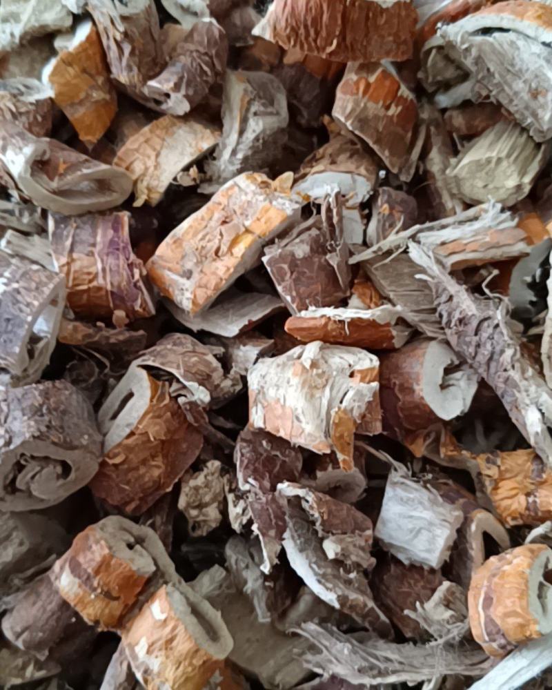 桑白皮桑皮康辰药业中药材批发量大从优各种药材