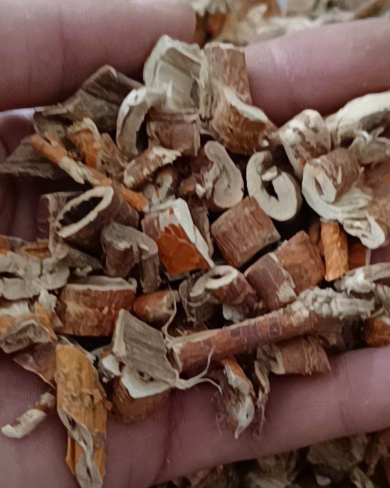 桑白皮桑皮康辰药业中药材批发量大从优各种药材