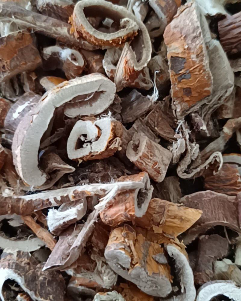 桑白皮桑皮康辰药业中药材批发量大从优各种药材