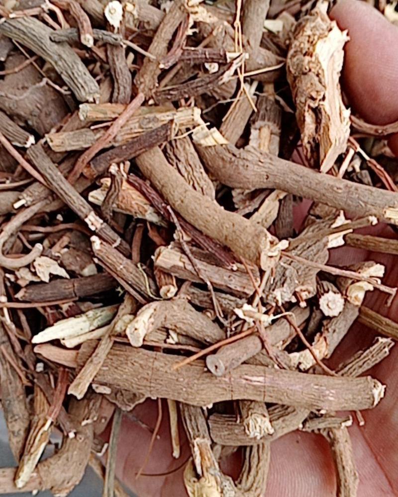 朱砂根，常年批发供应冷背中药材朱砂根，量大从优