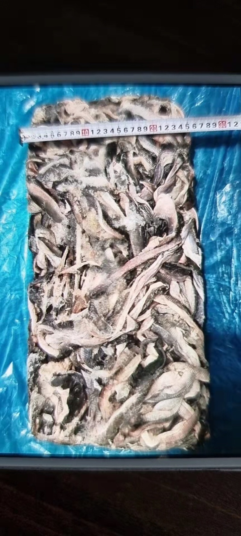 越南进口巴沙鱼皮工厂专用原料货源稳定供应大量