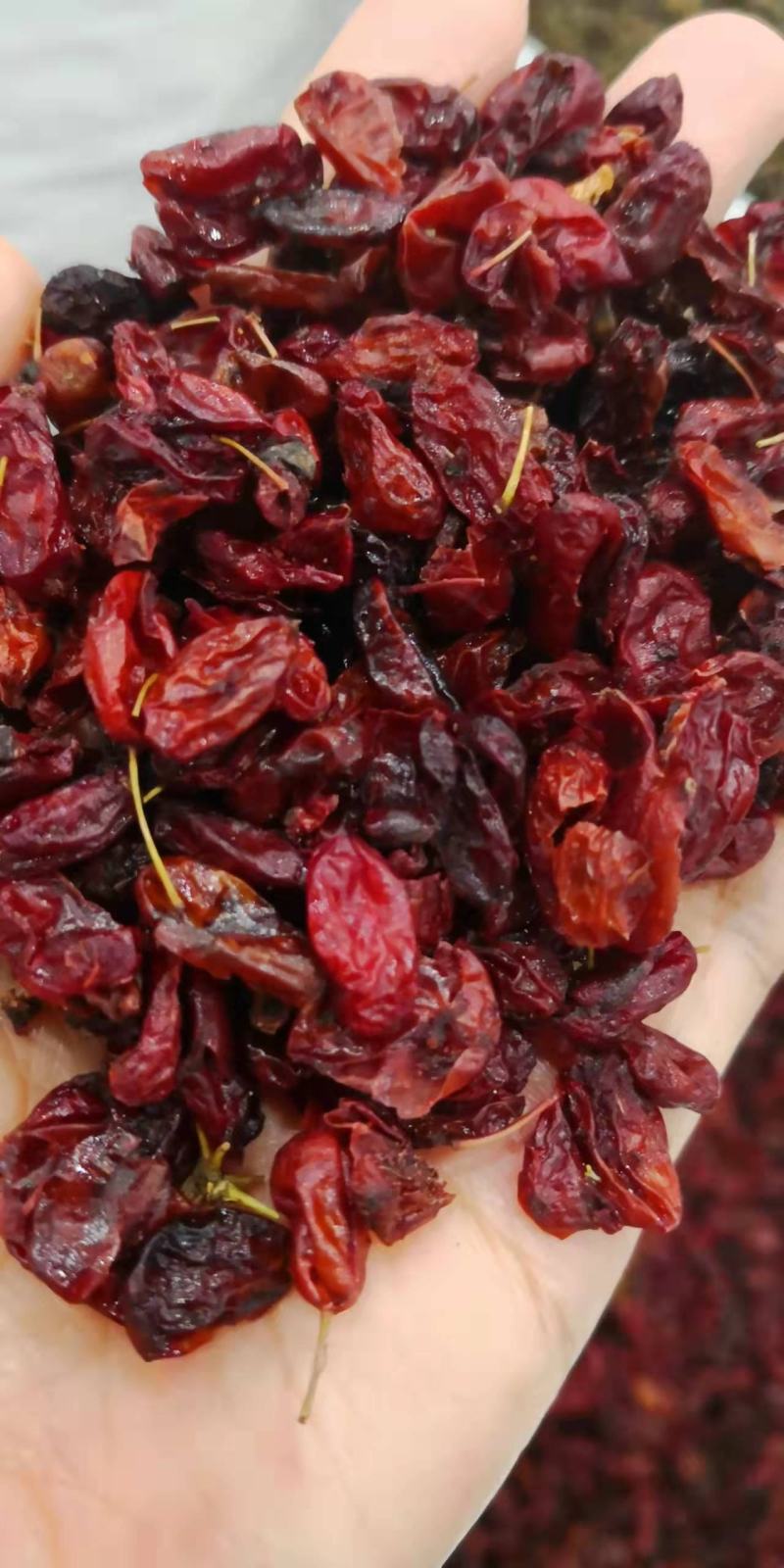 山萸肉中药材山茱萸过色选货欢迎选购！