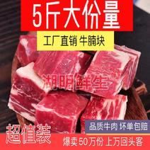【包邮】新鲜纯牛肉块火锅餐饮食材直供批发零售原切牛肉