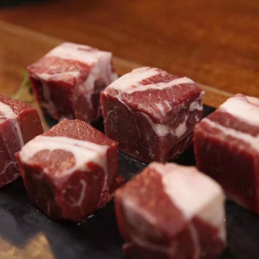 【基地直发】阿尔巴斯高端羊肉养殖基地批发