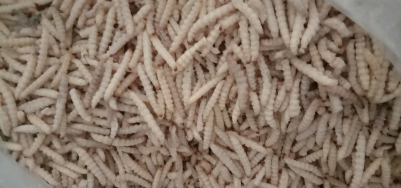 农副食品