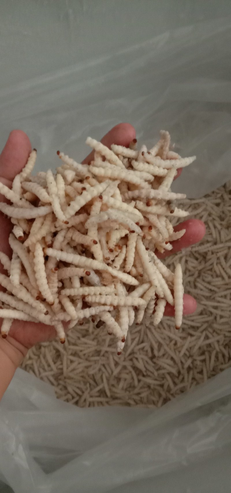 农副食品
