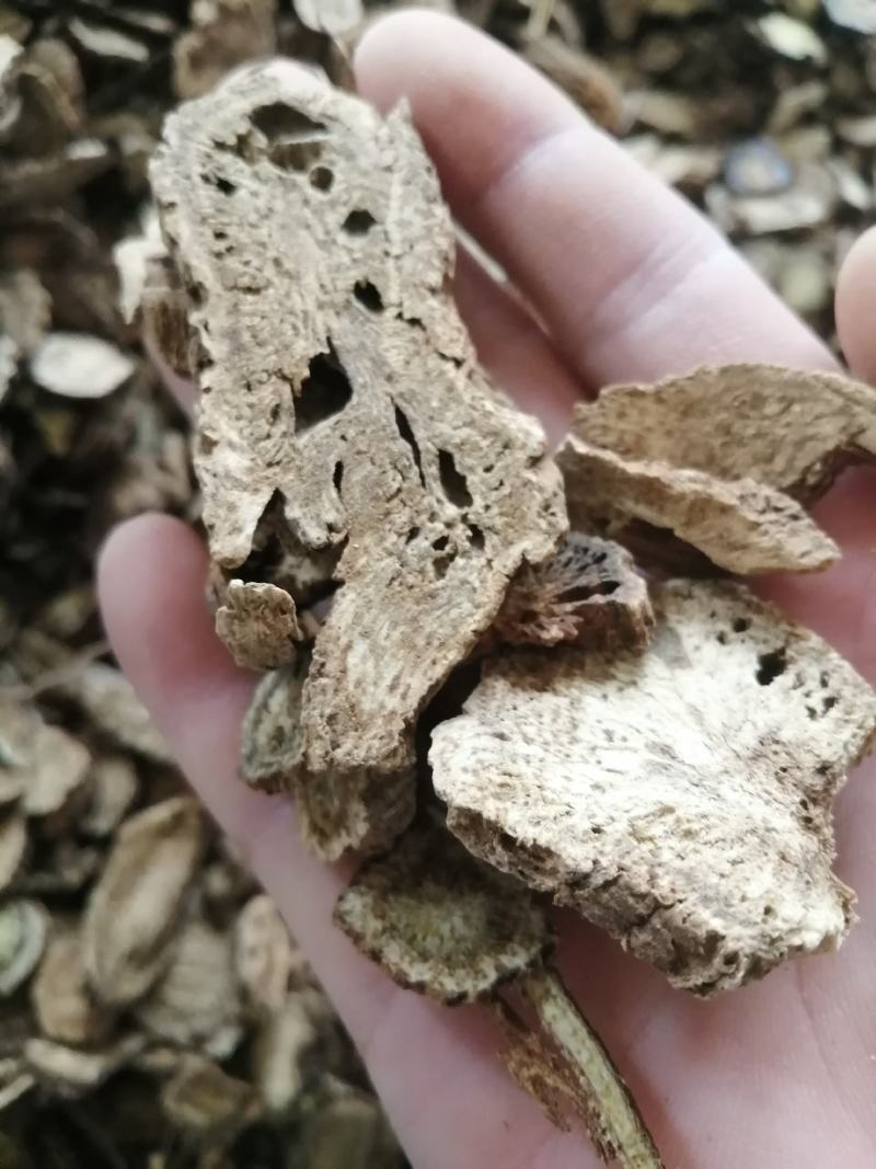 木香中药材木香无硫无添加精挑细选实物图经营各种规格
