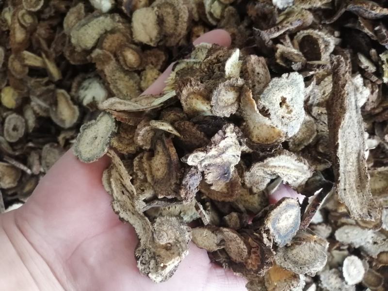 木香中药材木香无硫无添加精挑细选实物图经营各种规格