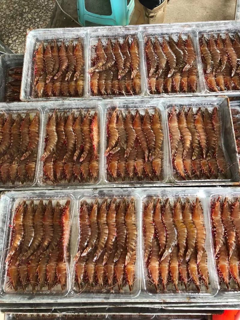 红爪虾