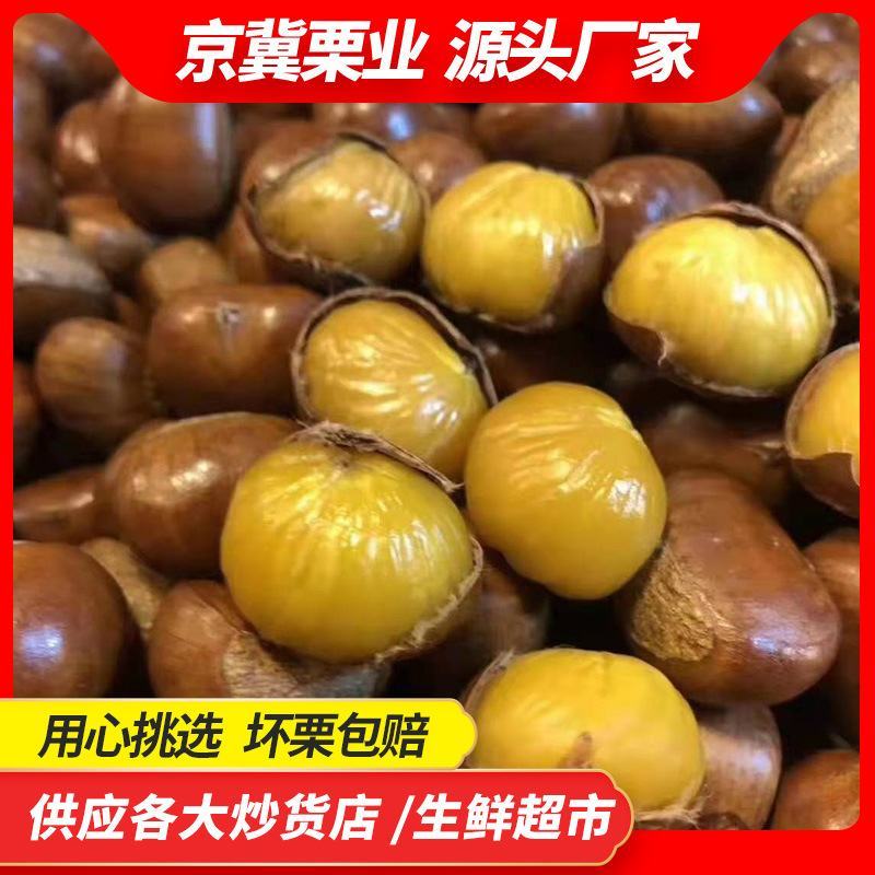 【3113元旦促销】正宗迁西板栗产地直发口感糯度香甜皮薄