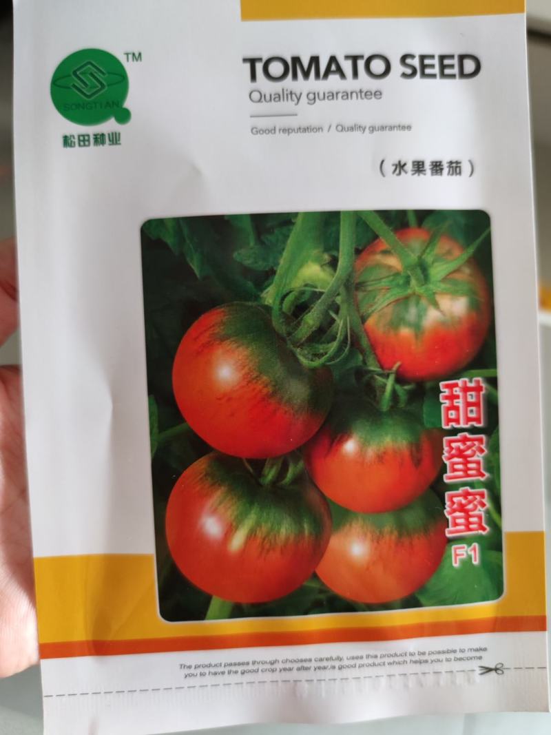 水果番茄种子甜蜜蜜西红柿种子，无限生长型,早熟1000粒