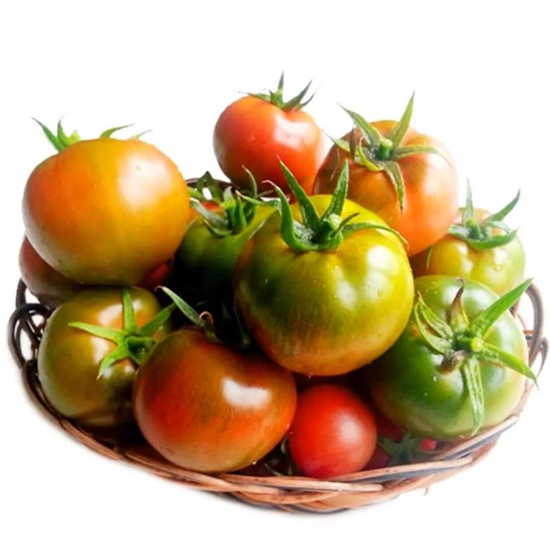 水果番茄种子甜蜜蜜西红柿种子，无限生长型,早熟1000粒