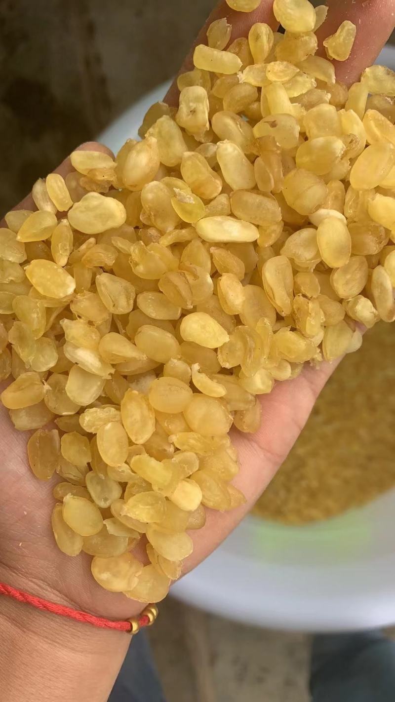 皂角米大双夹，实拍图长年有货，大货批发，