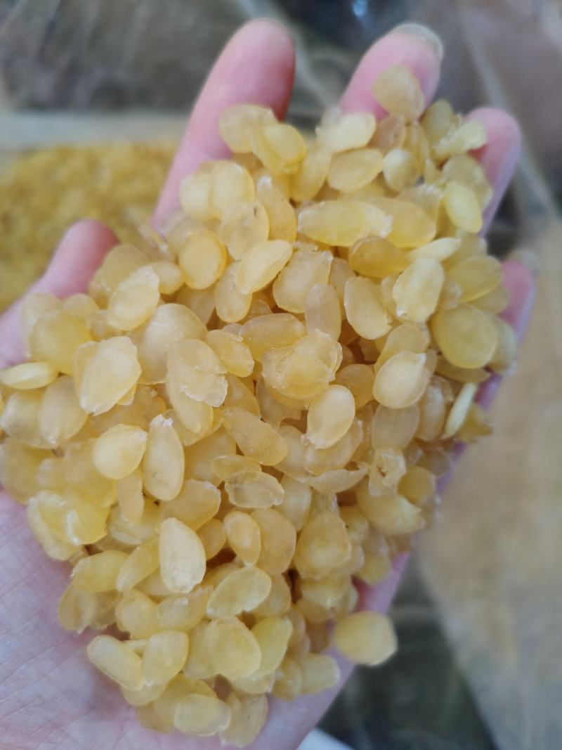 皂角米大双夹，实拍图长年有货，大货批发，