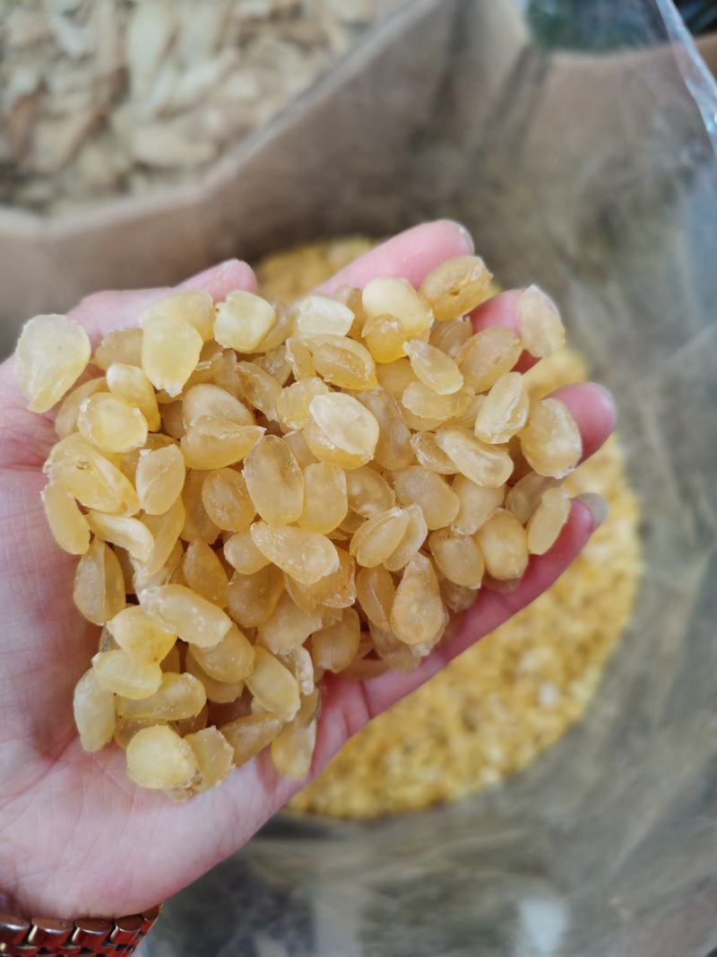 皂角米大双夹，实拍图长年有货，大货批发，