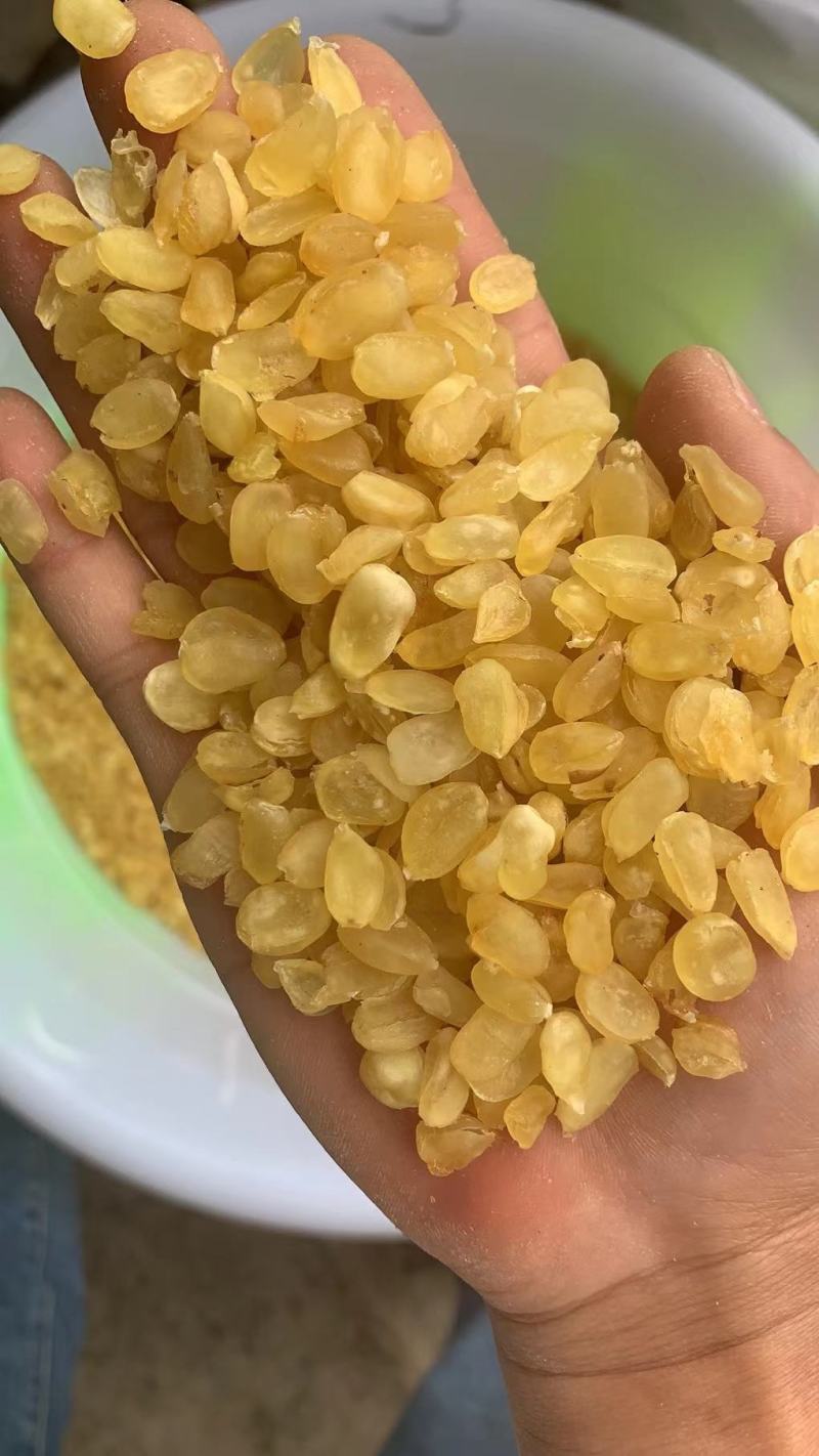 皂角米大双夹，实拍图长年有货，大货批发，