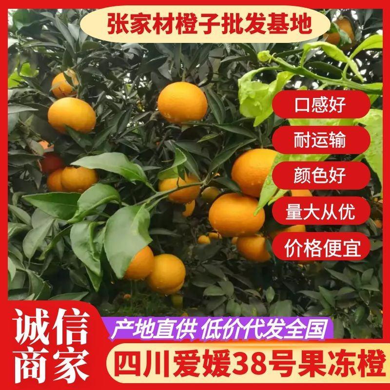 四川爱媛38号果冻橙，新鲜采摘，纯甜皮薄，汁多化渣，代发全国