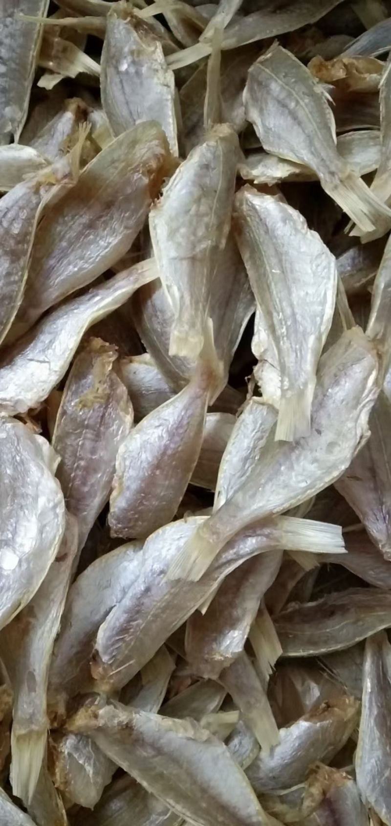 北海特产红三鱼干