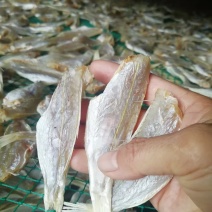 北海特产红三鱼干