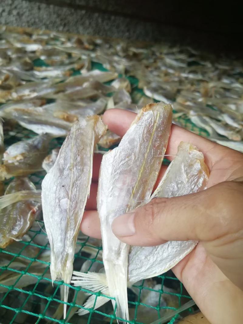 北海特产红三鱼干