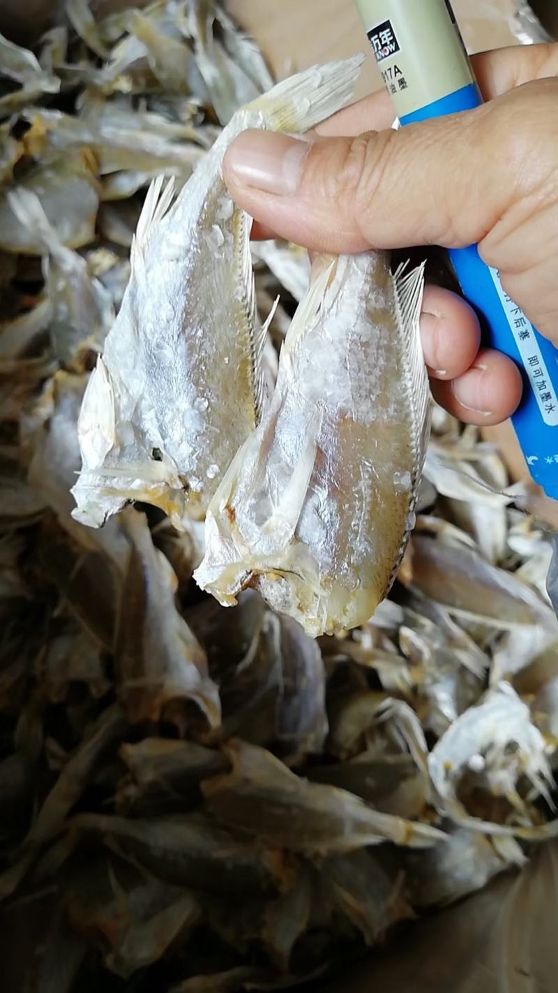 红三鱼正宗北海鱼干，一手货源，价格美丽。