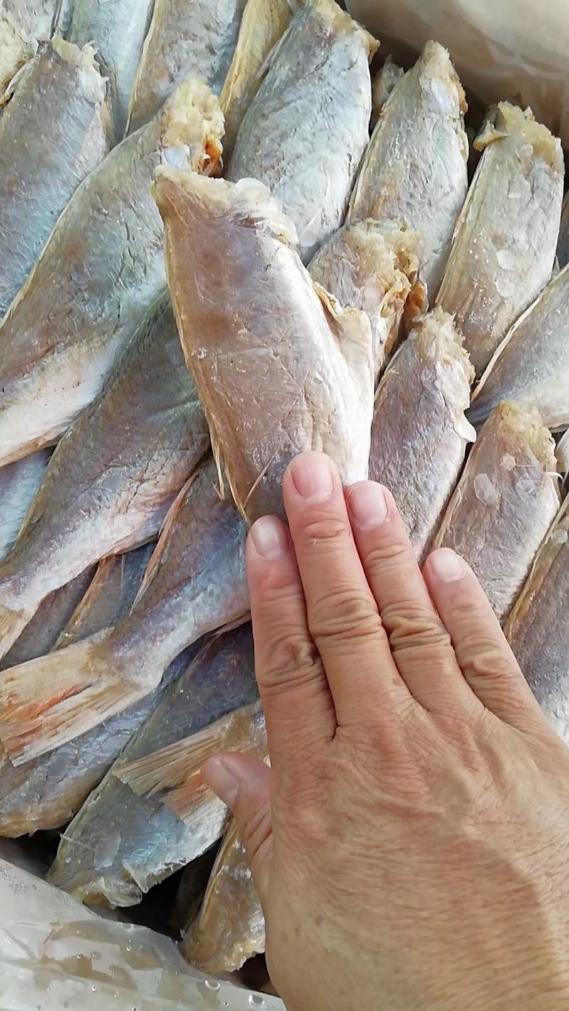 红三鱼正宗北海鱼干，一手货源，价格美丽。