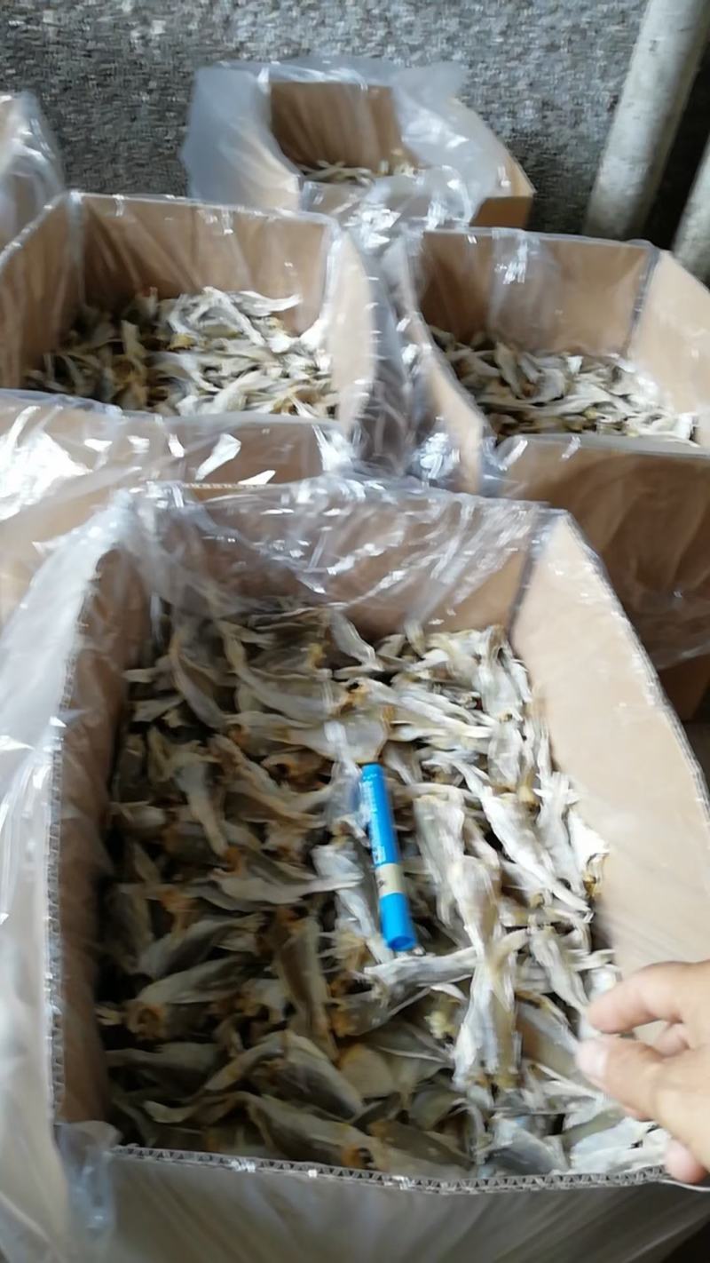 红三鱼正宗北海鱼干，一手货源，价格美丽。