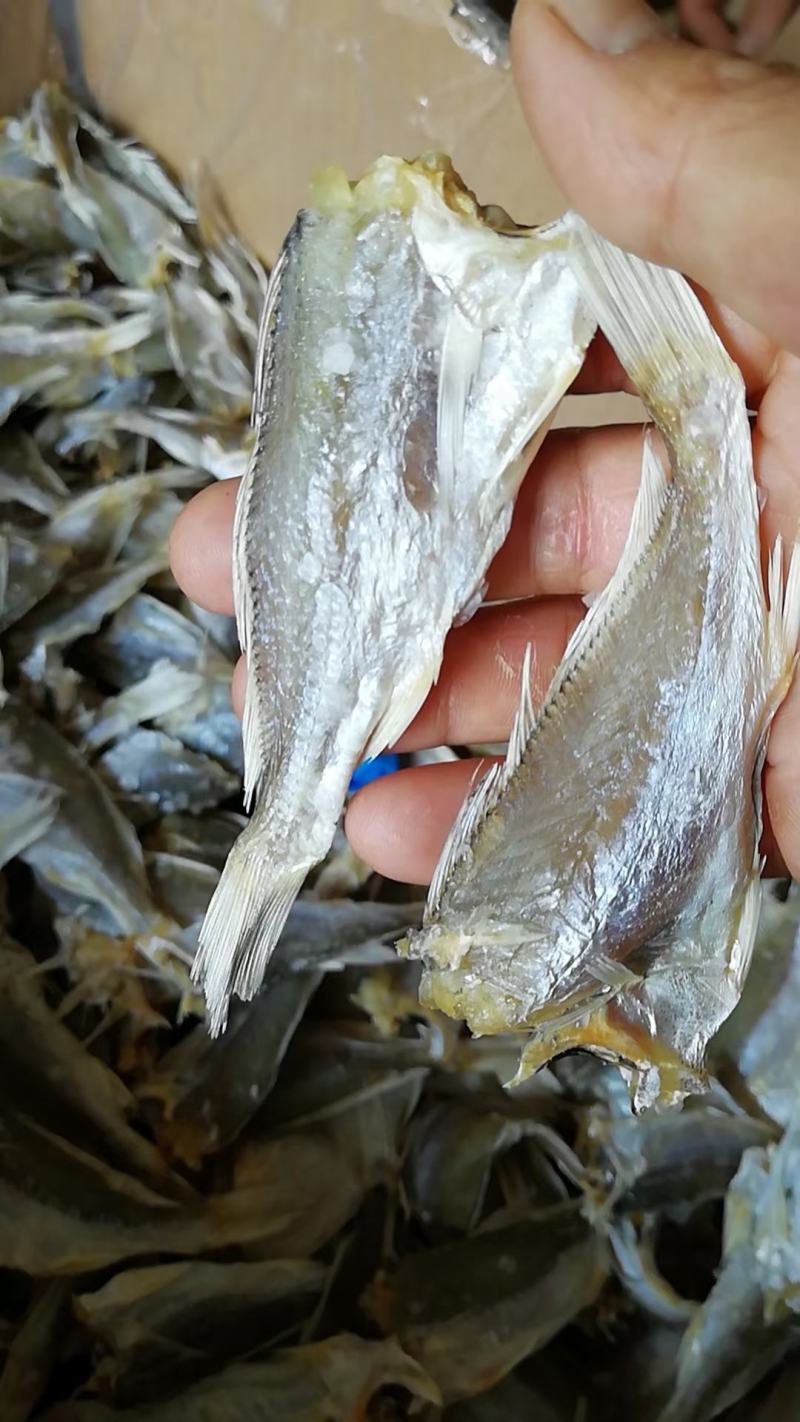 红三鱼正宗北海鱼干，一手货源，价格美丽。