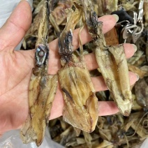 正宗北海船晒鱿鱼干一手货源，价格美丽