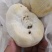 猴头菇