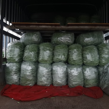 精品无筋豆赶紧下单