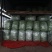 精品无筋豆赶紧下单