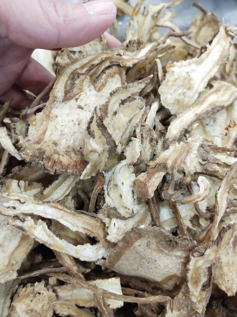当归节子片，当归头片，当归尾子。全归片。各种规格都有。