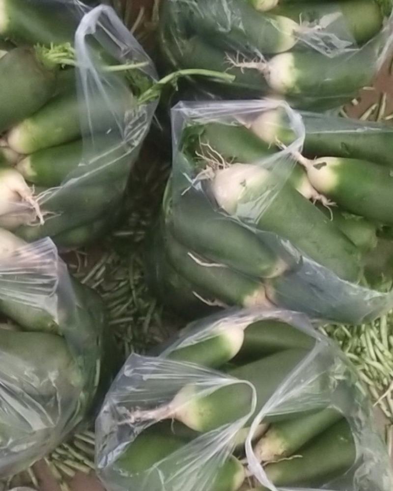 大量。蔬菜。萝卜，上市。需要的请与我联系
