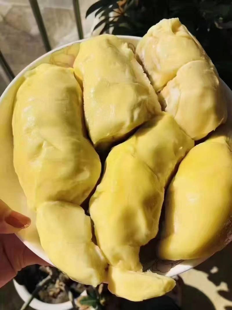 泰国树熟金枕榴莲肉