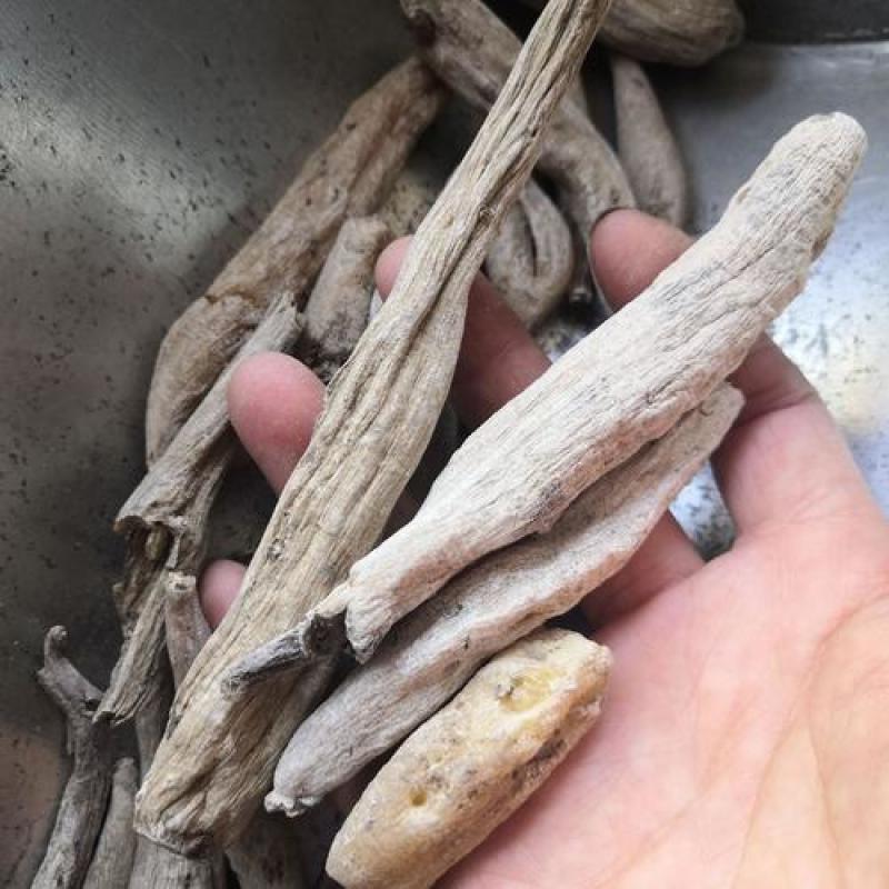 紫茉莉根正品质量保证，经营各种中药材，欢迎咨询合作！