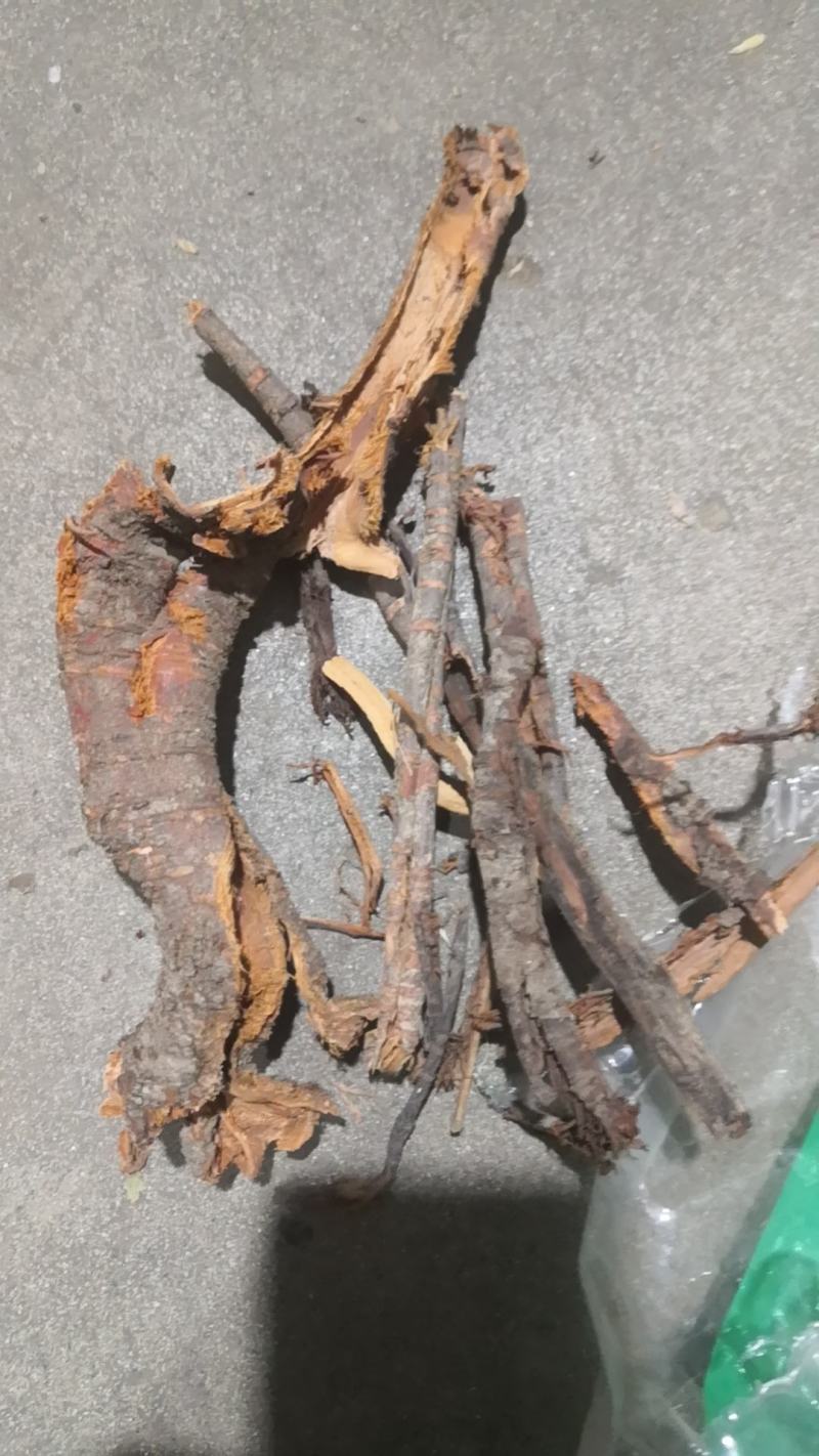 苦里根睇牛仔去芯货苦里脚根黎辣根纯干货