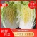 【推荐】黄心大白菜，品质好，货源多，有需要的可以联系，
