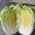 【推荐】黄心大白菜，品质好，货源多，有需要的可以联系，