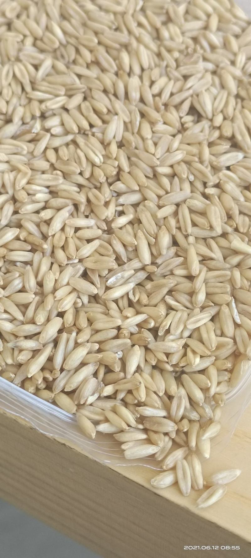 燕麦米