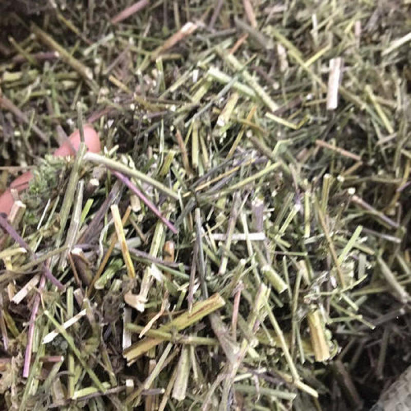 荆芥，荆芥全棵切片，干净无杂质量保证量大从优！