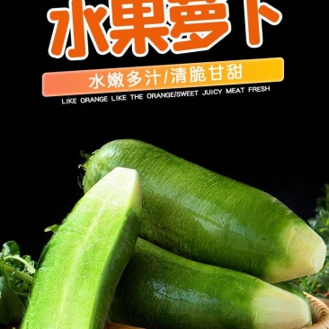 【一件代发】水果萝卜新鲜正宗潍坊青萝卜沙窝萝卜生吃脆甜