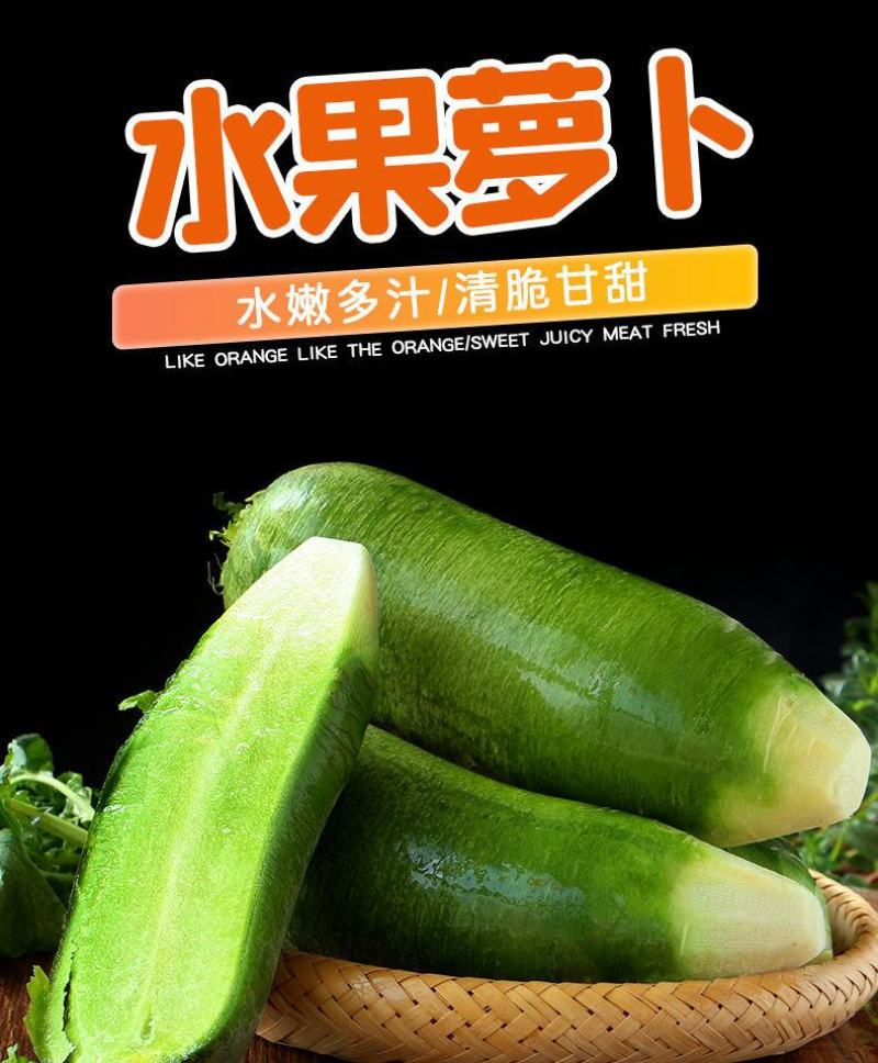 【一件代发】水果萝卜新鲜正宗潍坊青萝卜沙窝萝卜生吃脆甜