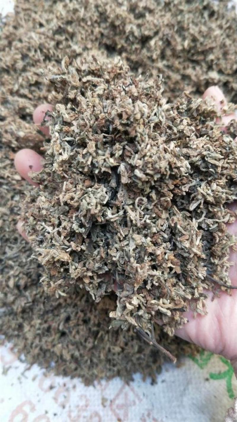 芫花，正品黄芫花干货质量保证量大从优！欢迎咨询购买！