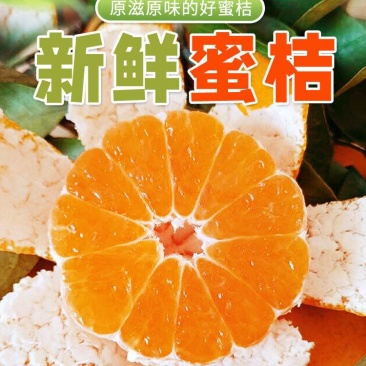 【优选推荐】产地特早蜜橘，叶桔优价供应，可实地看货