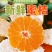 【优选推荐】产地特早蜜橘，叶桔优价供应，可实地看货