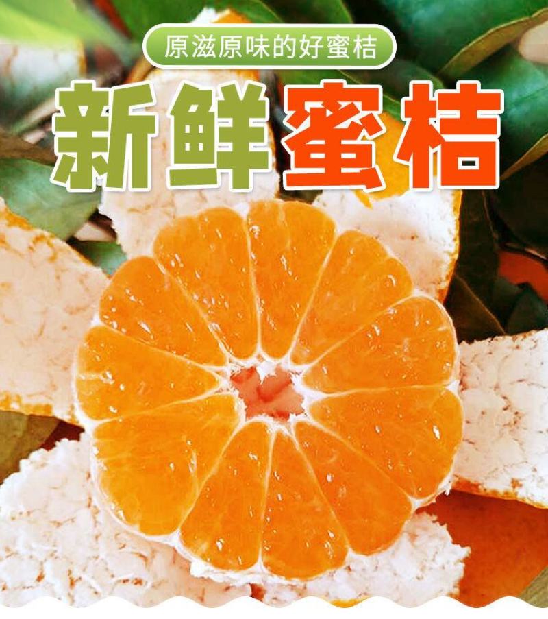【优选推荐】产地特早蜜橘，叶桔优价供应，可实地看货